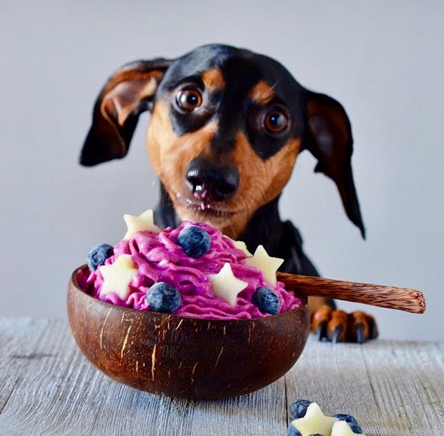 Cocobowls |  Coconut Shell Bowls